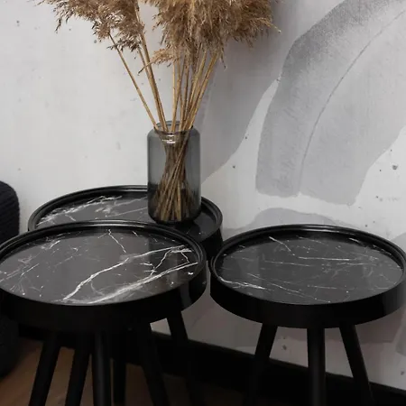 Apartment Elegant In With Sauna, Gym And Parking By Renters